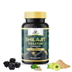 Shilajit Rasayan - By Dr. Ish Handa