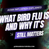 Avian Influenza Explained Simply: What Bird Flu Is and Why It Still Matters